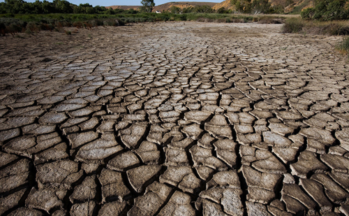 dried wetlands